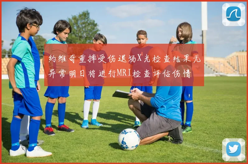 约维奇重摔受伤退场X光检查结果无异常明日将进行MRI检查评估伤情