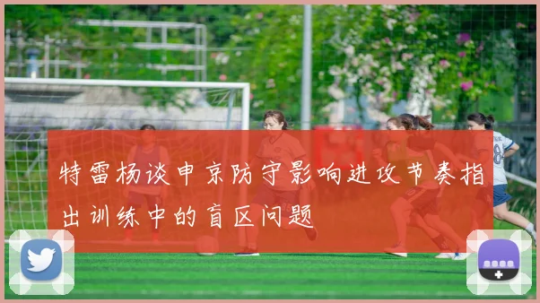 特雷杨谈申京防守影响进攻节奏指出训练中的盲区问题