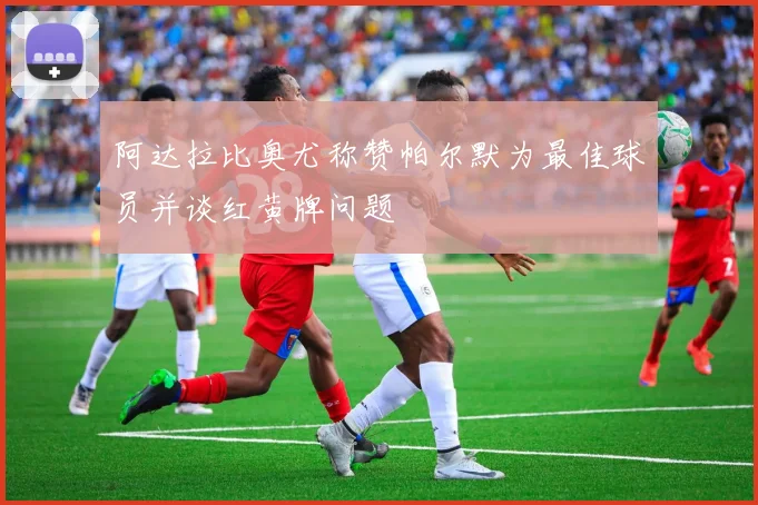 阿达拉比奥尤称赞帕尔默为最佳球员并谈红黄牌问题