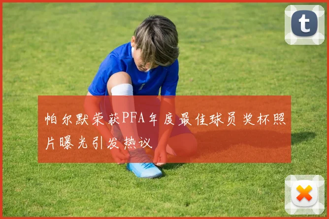 帕尔默荣获PFA年度最佳球员奖杯照片曝光引发热议