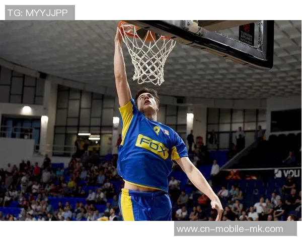 阿夫迪亚11月以来表现惊艳全明星之路是否已稳固场均数据令人瞩目